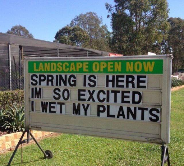 Daily Picdump
