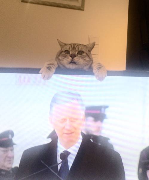 Daily Picdump