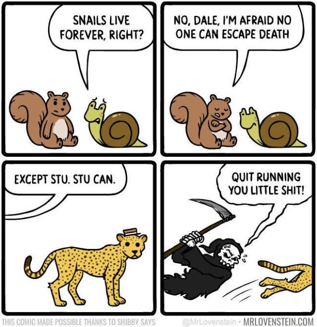Funny Picdump