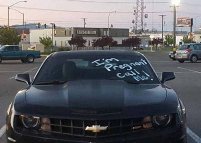 Morning Picdump