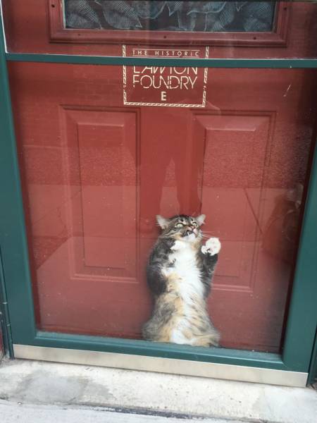 Daily Picdump