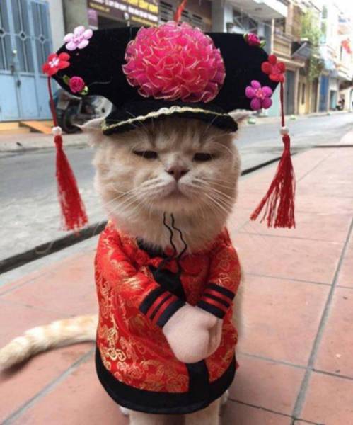 Daily Picdump