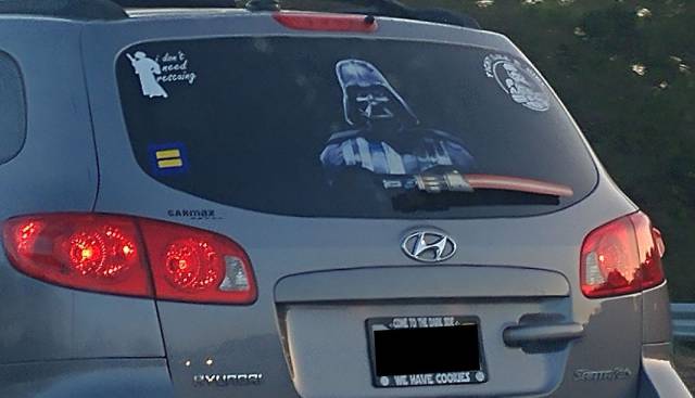 Daily Picdump