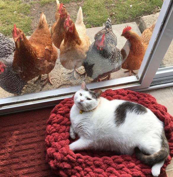 Daily Picdump