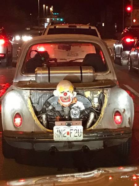 Morning Picdump