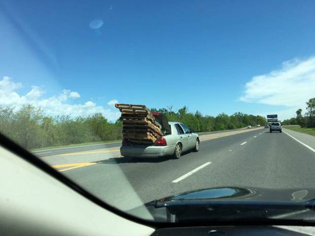 Daily Picdump [WEEKEND EDITION]