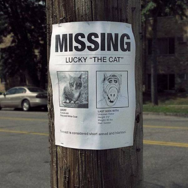 Daily Picdump