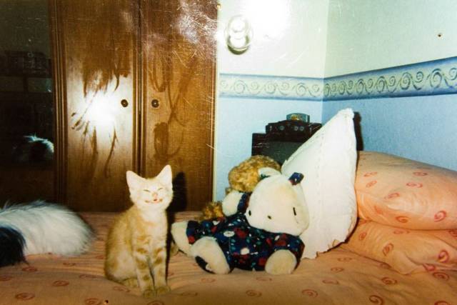 Daily Picdump