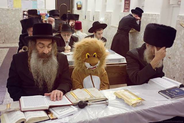 Daily Picdump