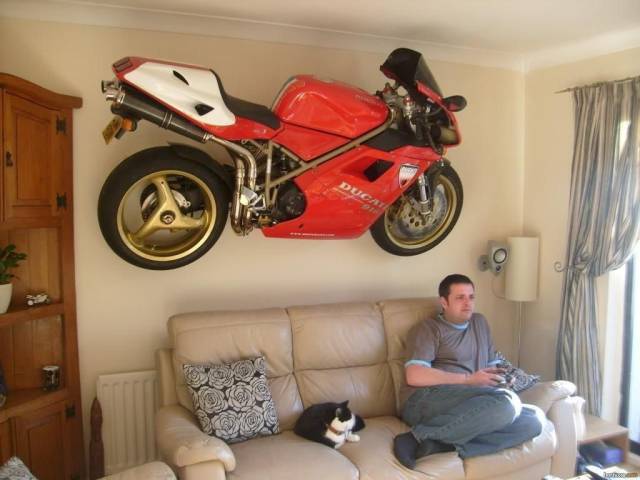 Daily Picdump