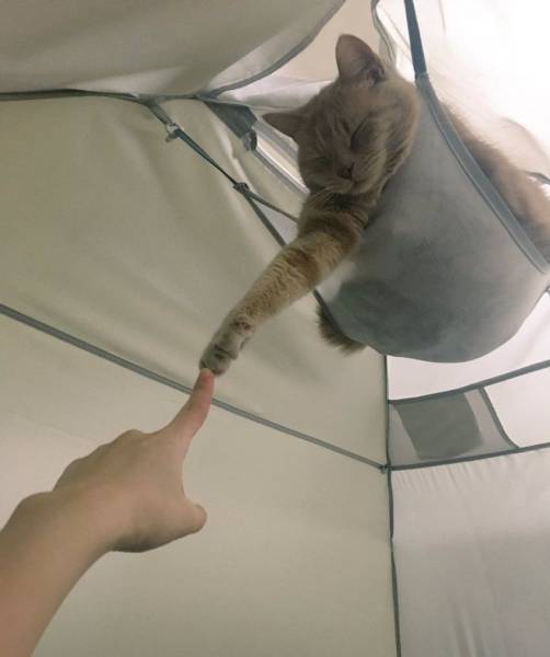 Daily Picdump