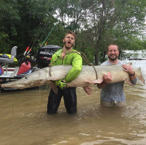 Daily Picdump [WEEKEND EDITION]