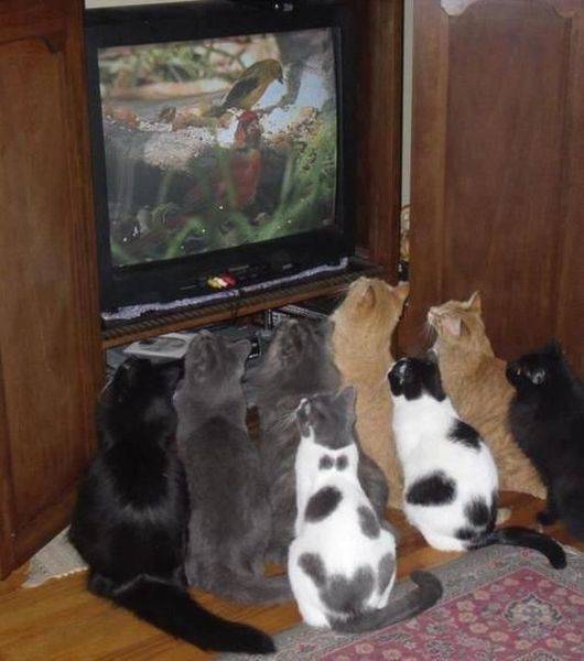 Daily Picdump