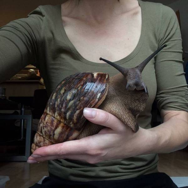 Daily Picdump