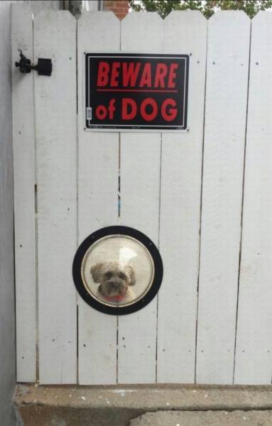 Daily Picdump