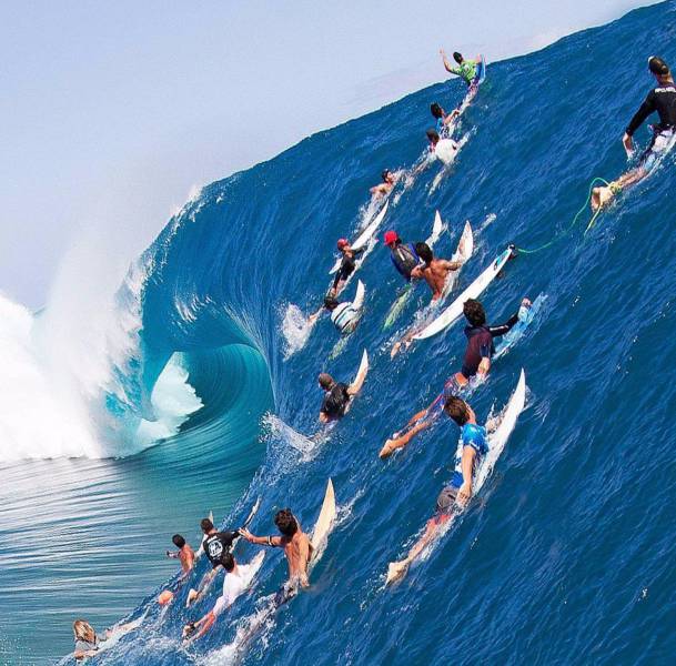 Daily Picdump