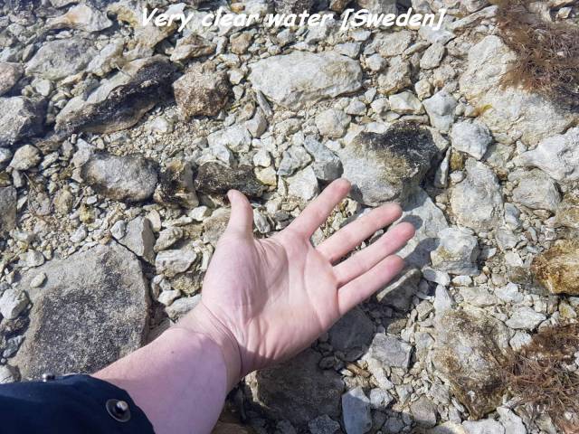 Daily Picdump [WEEKEND EDITION]