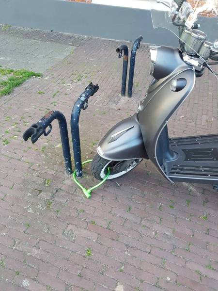 Daily Picdump [WEEKEND EDITION]