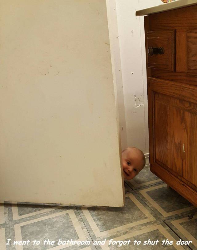 Daily Picdump [WEEKEND EDITION]