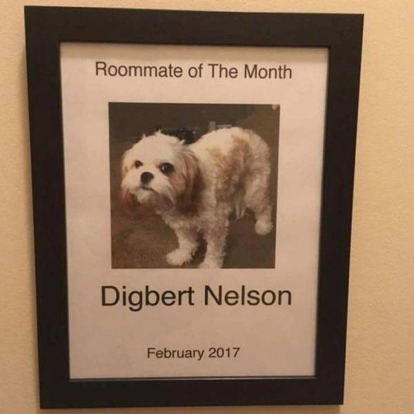 Morning Picdump