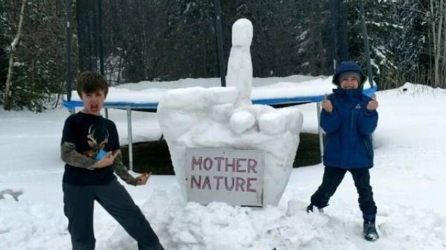 Daily Picdump