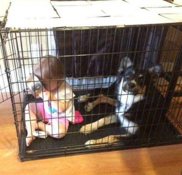 Daily Picdump
