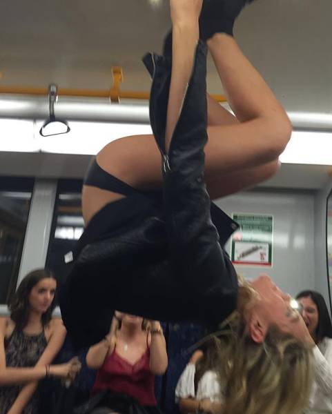 Daily Picdump