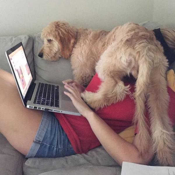 Daily Picdump