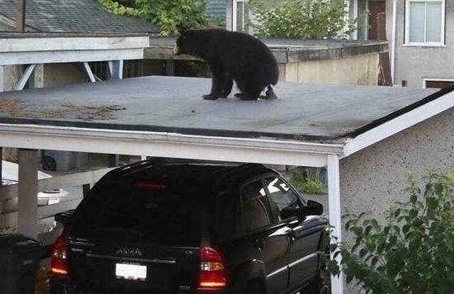 Daily Picdump