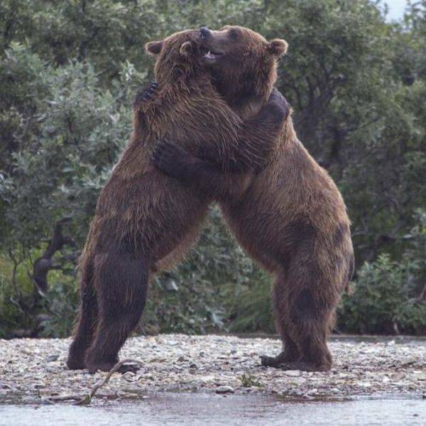 Daily Picdump