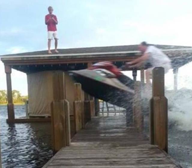 Daily Picdump
