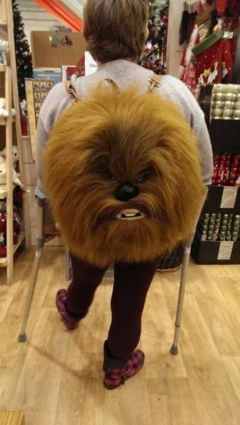Daily Picdump