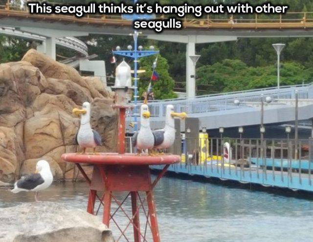 Daily Picdump