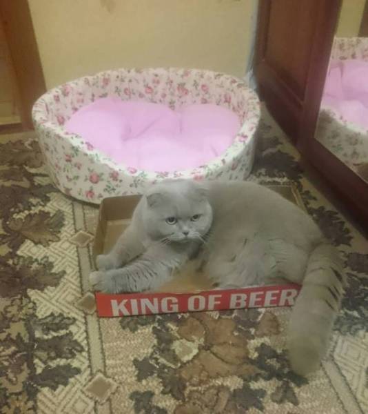Daily Picdump [WEEKEND EDITION]