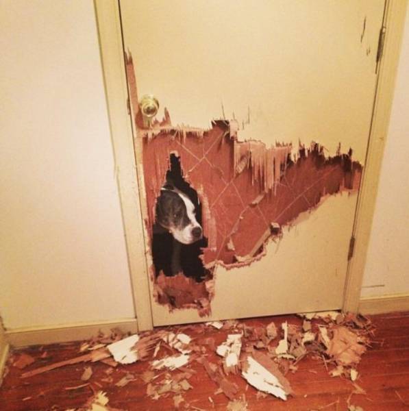 Morning Picdump