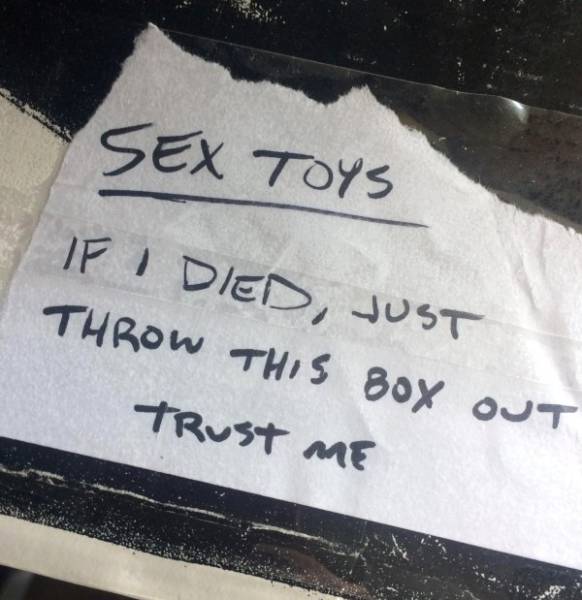 Morning Picdump