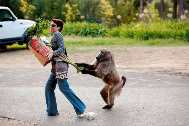 Morning Picdump