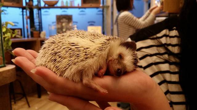 Daily Picdump