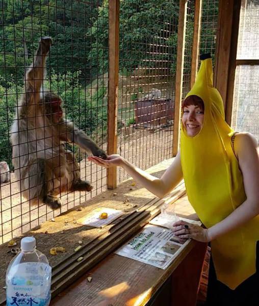 Daily Picdump