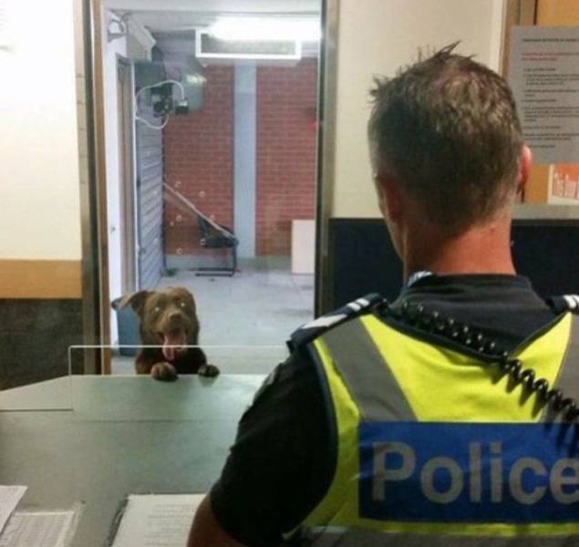 Daily Picdump