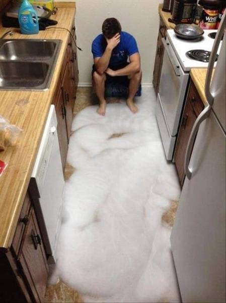 Daily Picdump