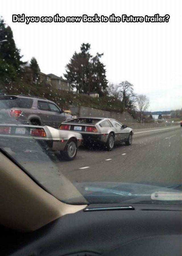 Daily Picdump