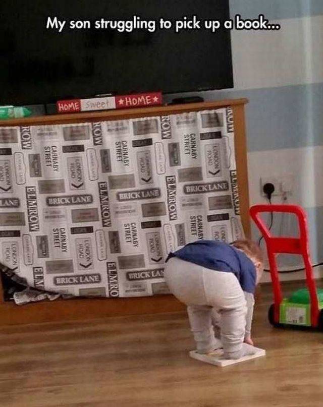 Daily Picdump