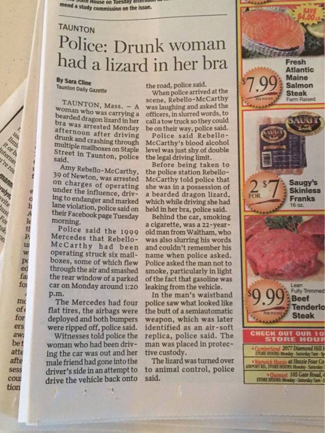 Daily Picdump
