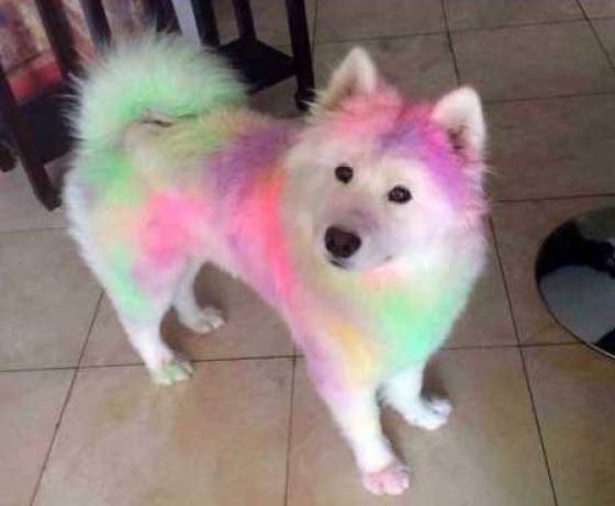 Daily Picdump [WEEKEND EDITION]