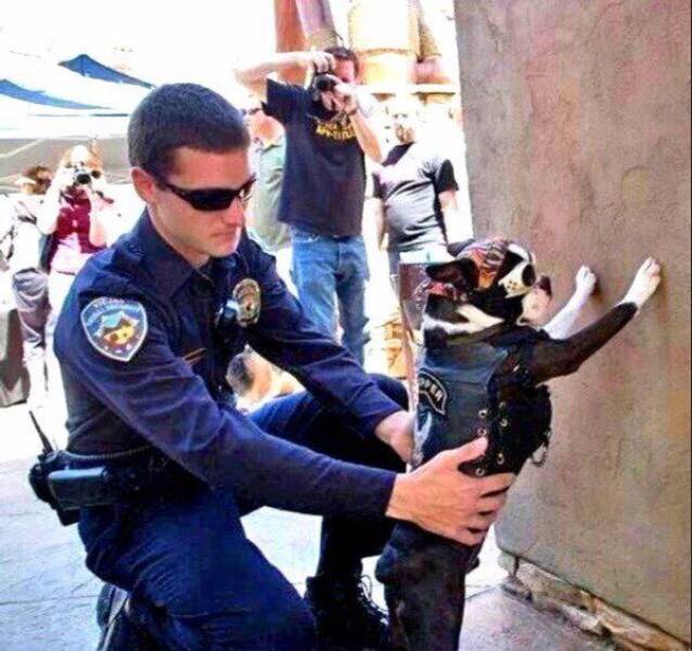 Daily Picdump
