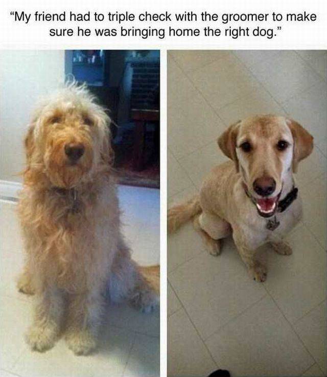 Daily Picdump