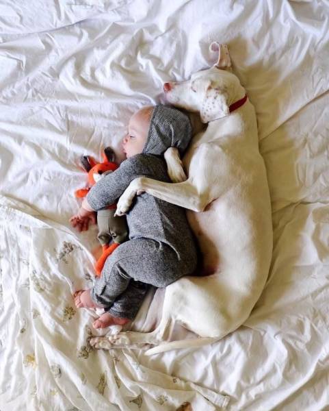 Daily Picdump