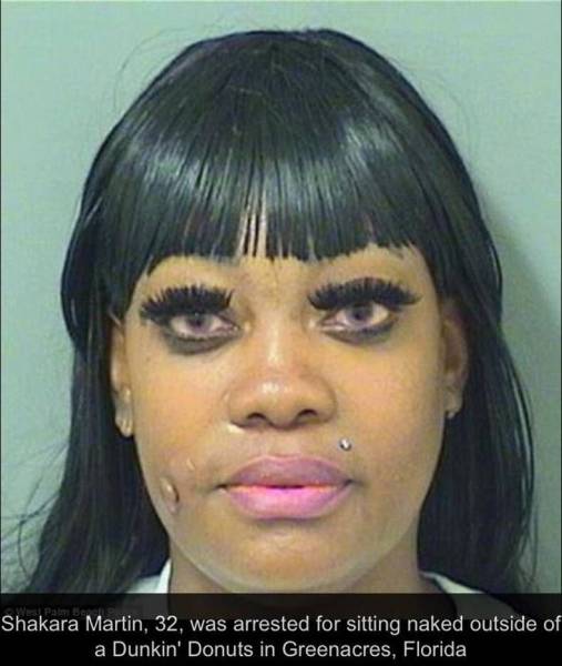 Daily Picdump