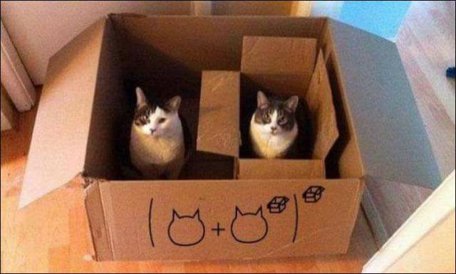 Daily Picdump